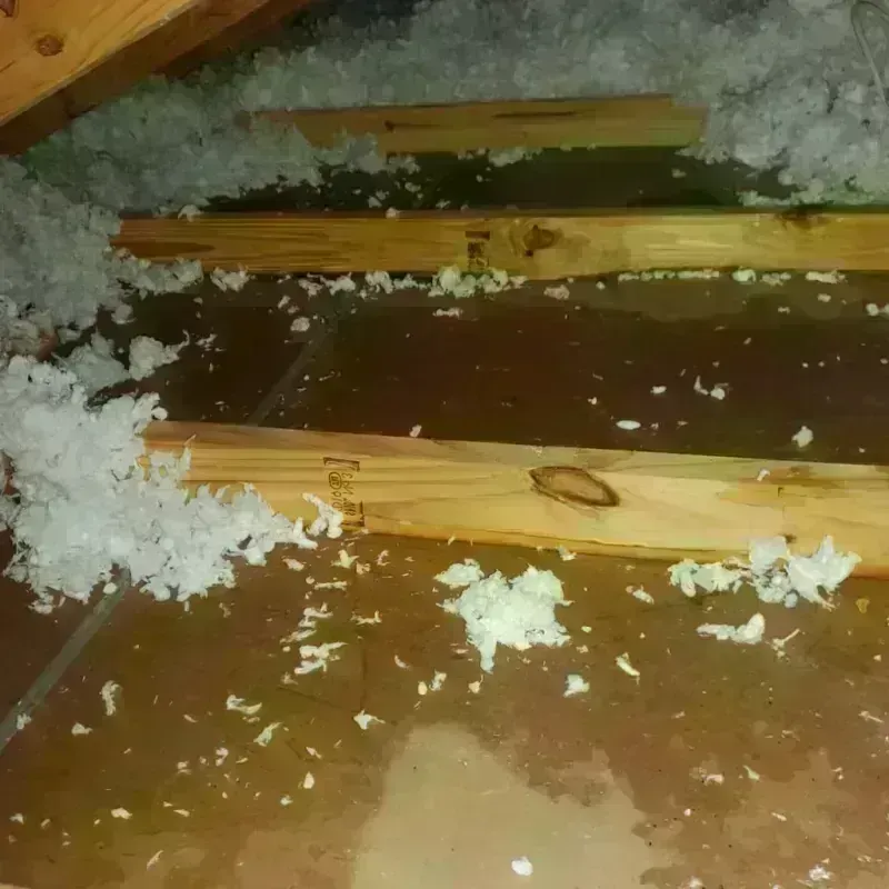 Attic Water Damage in Union County, OR